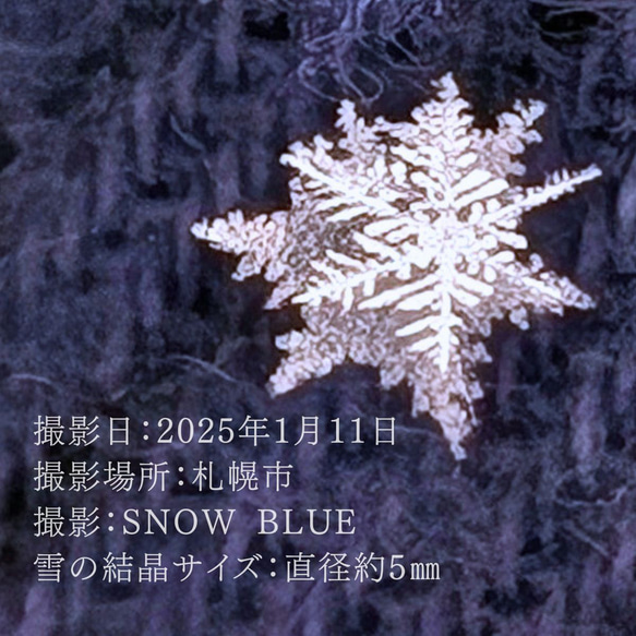 NEW…ひとひらの雪2025…イヤリング・ピアス　涼を添える夏の雪　雪の結晶　シルバーカラー　イヤーコレクション 8枚目の画像