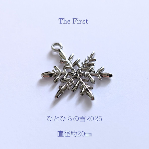 ［特集掲載］ひとひらの雪 本物の雪の結晶デザイン イヤリング・ピアス　The First　　 5枚目の画像
