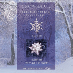 ［特集掲載］ひとひらの雪 本物の雪の結晶デザイン イヤリング・ピアス　The First　　 6枚目の画像