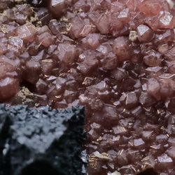【鉱物 標本 ハウスマン鉱 灰鉄柘榴石 結晶 原石】南アフリカ アンドラダイト ガーネット ハウスマナイト 19枚目の画像
