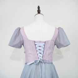 魅惑的な 浅い灰色 ピンク 2色 カラードレス キラキラスパンコール ビジュー 高級イブニングドレスG033 3枚目の画像