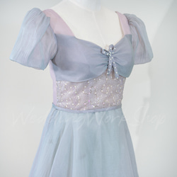 魅惑的な 浅い灰色 ピンク 2色 カラードレス キラキラスパンコール ビジュー 高級イブニングドレスG033 4枚目の画像