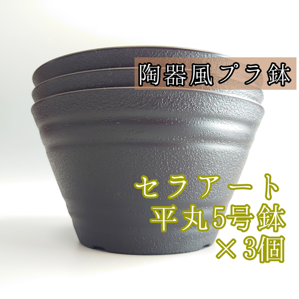 セラアート 5号 3個 平丸鉢 平鉢 プラ鉢 多肉植物 塊根植物 サボテン 1枚目の画像