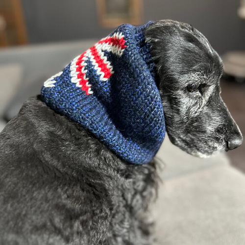 ユニオンジャックの犬の服　着画あり ユニオンジャックの犬の服着画あり