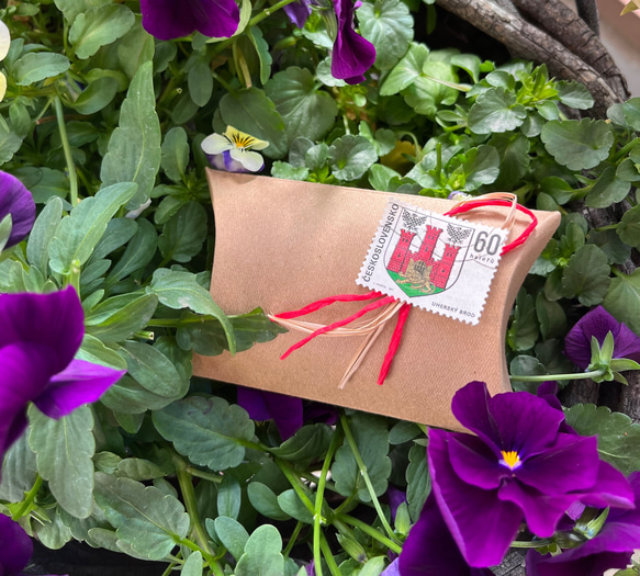 〔ピルケース〕おしゃれでかわいい！持ち運びしやすい外国切手のケース（ポーランド文鳥たち）ラッピング無料！プレゼントにも 13枚目の画像