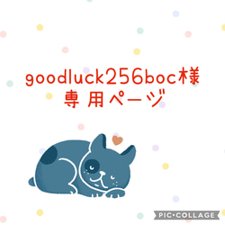 視覚支援カード オーダーメイド 絵カード 聴覚障害 発達障害 その他