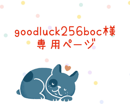 視覚支援カード オーダーメイド 絵カード 聴覚障害 発達障害 その他