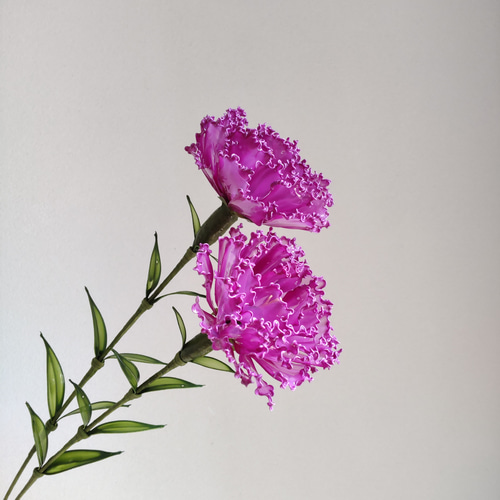 カーネーション♡ディップアート♡アメリカンフラワー アート カーネーション♡ディップアート♡アメリカンフラワー アート
