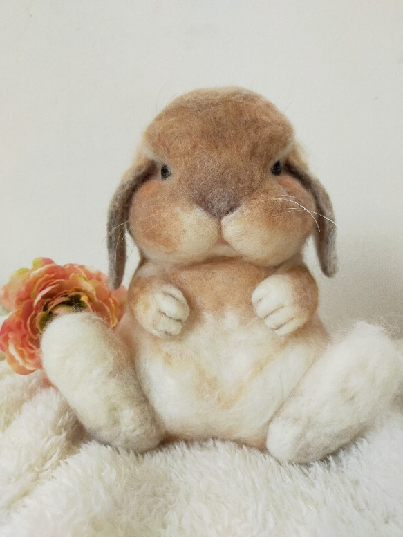 羊毛フェルトオーダー　たーさん 羊毛フェルトうちの子オーダー | iichi 日々の暮らしを心地よく