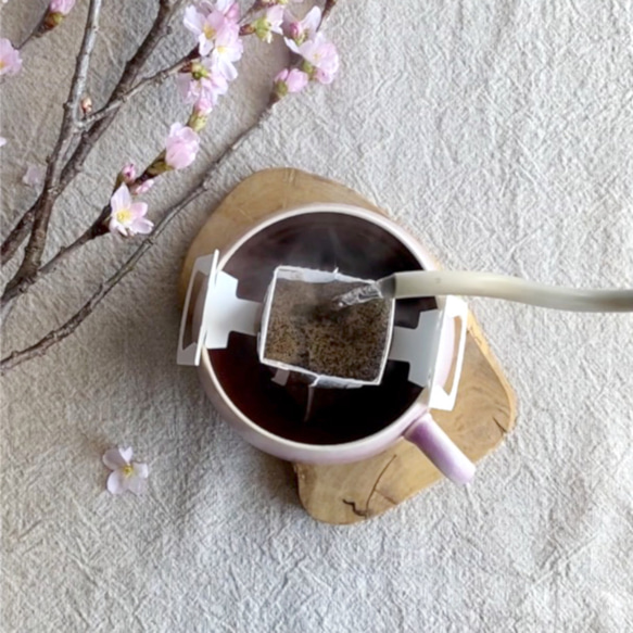 春と猫 ドリップバック 5個set | 自家焙煎コーヒー プチギフト 送料無料 4枚目の画像