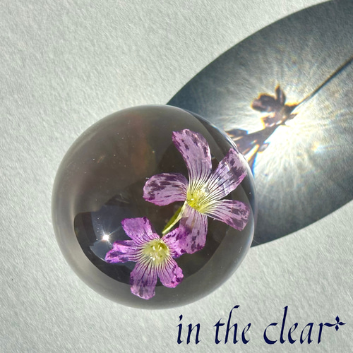 ○ヨウム レジンヘアゴム ムラサキカタバミ 手描き 2025年最新】#お