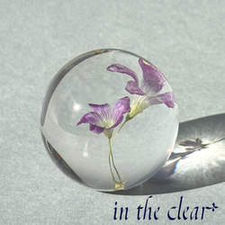 植物標本　ムラサキカタバミ　紫　レジン　４センチ球体 3枚目の画像