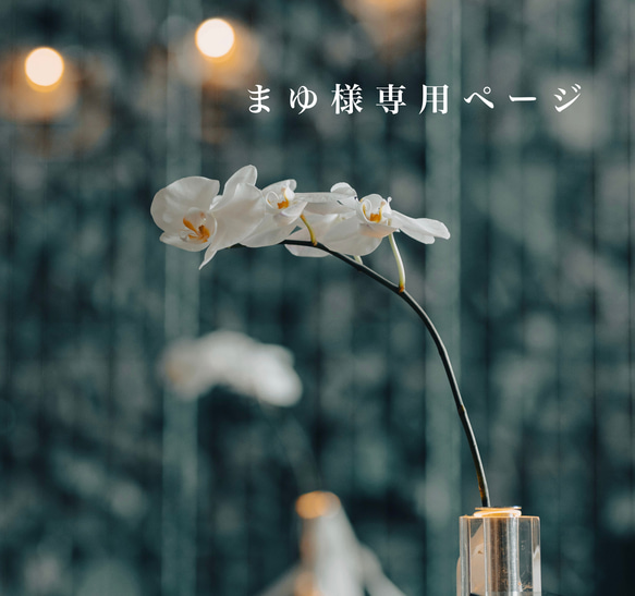 まゆ様専用 まゆ様 専用ページ その他オーダーメイド enu 通販