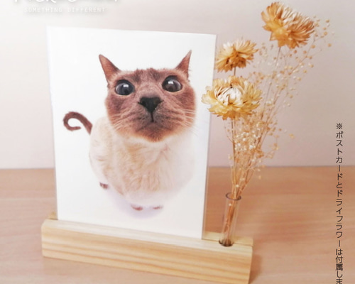 木製 ポストカードスタンド ナチュラル（ドライフラワースタンド付き