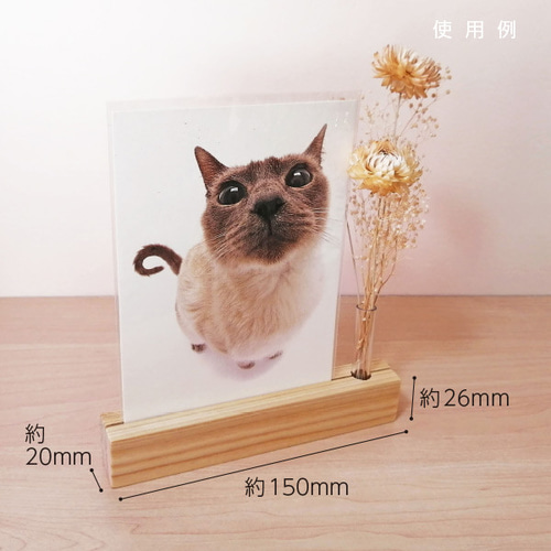 木製 ポストカードスタンド ナチュラル（ドライフラワースタンド付き