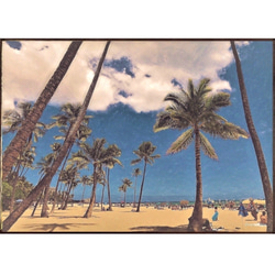 【送料無料】南国の風景☆ハワイ  No.597   フレーム付    A4サイズ 2枚目の画像