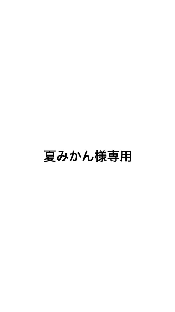 夏みかん様専用 1枚目の画像