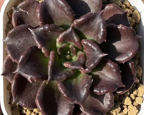 c2d2ade5bb9df8fa18b639c504bb20