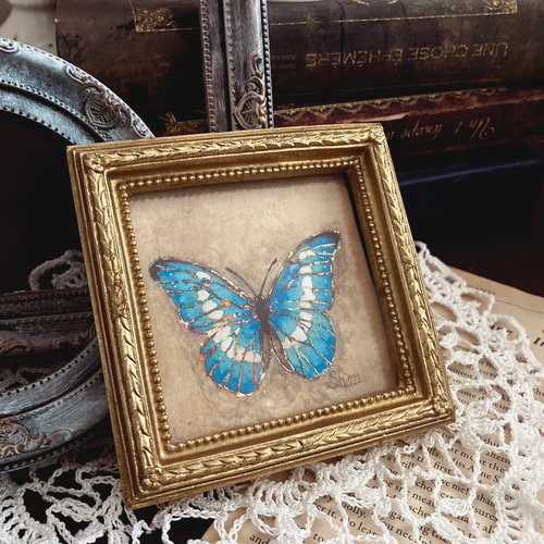 モルフォ蝶の小さな絵 - Morpho rhetenor helena- /原画 モルフォ蝶の小さな絵 - Morpho rhetenor helena- /原画