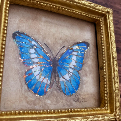 RYU【希少】額装 モルフォ蝶 羽絵 アート アンティーク インテリア モルフォ蝶の小さな絵 - Morpho rhetenor helena- /原画