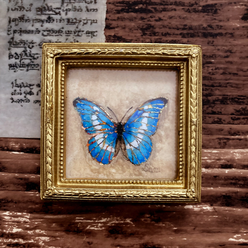 モルフォ蝶の小さな絵 - Morpho rhetenor helena- /原画 モルフォ蝶の小さな絵 - Morpho rhetenor helena- /原画