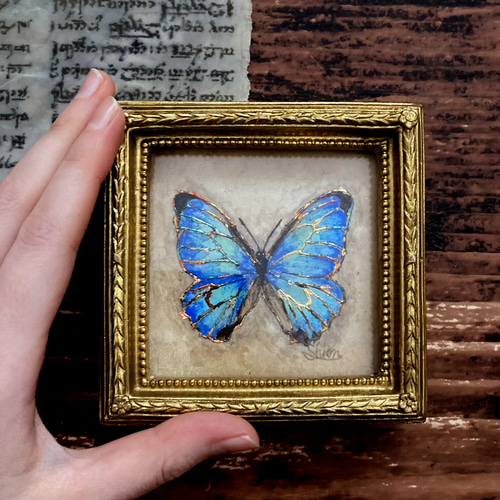 モルフォ蝶の小さな絵 - Morpho sulcowsky- /原画 アンティーク モルフォ蝶の小さな絵 - Morpho sulcowsky- /原画 アンティーク