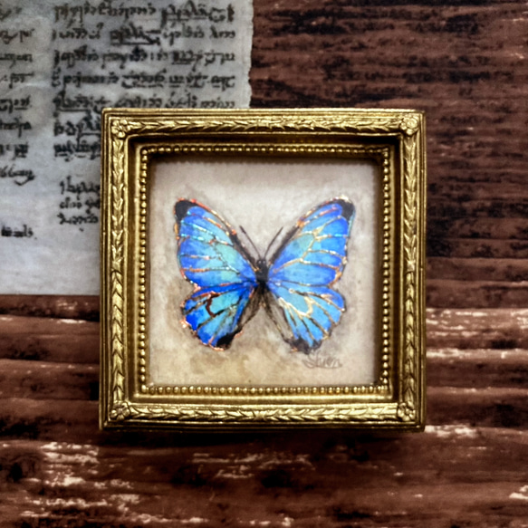 モルフォ蝶の小さな絵 - Morpho sulcowsky-　/原画　アンティーク　インテリアアート　標本 2枚目の画像