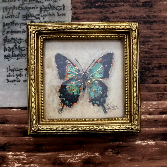 アゲハ蝶の小さな絵 -ヘリボシアオネアゲハ-　/原画　アンティーク　インテリアアート　標本 4枚目の画像