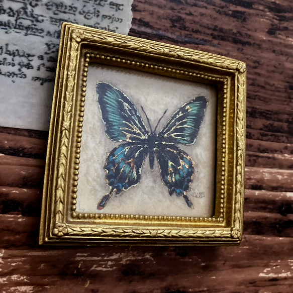 アゲハ蝶の小さな絵 - ミヤマカラスアゲハ-　/原画　アンティーク　インテリアアート　標本 7枚目の画像