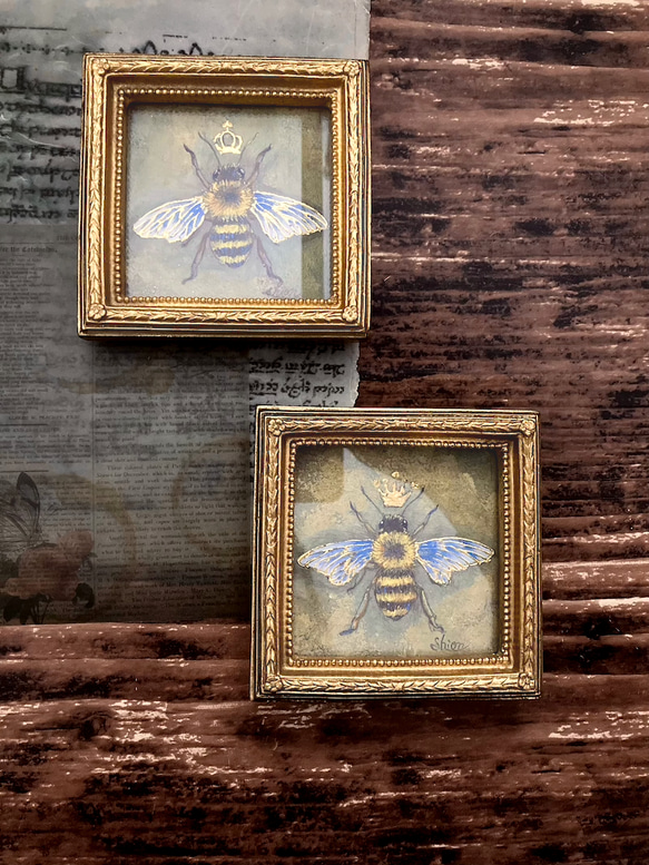 ミツバチの小さな絵 -女王蜂①-　/原画　アンティーク　インテリアアート　標本　ハチ 7枚目の画像
