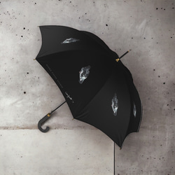 【受注生産】鳩と戯れる雨傘　 6枚目の画像