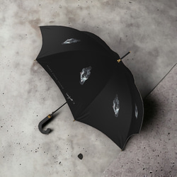 【受注生産】鳩と戯れる雨傘　 1枚目の画像