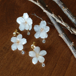 ジルコニアの雫滴るソメイヨシノの朝露桜（本物）〜ピアス・イヤリング 6枚目の画像