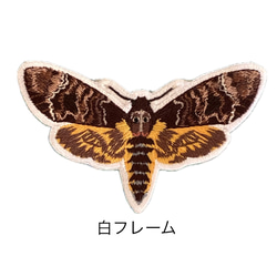【ワッペン】Moth（蛾）シリーズ　クロメンガタスズメ 1枚目の画像