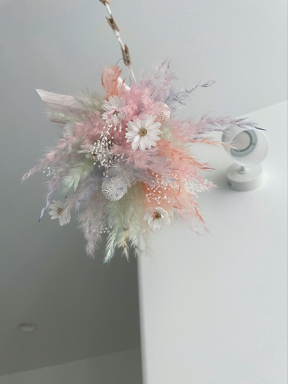 flying wreath " fluffy " フライングリース パンパスグラス ドライフラワーリース 吊り下げリース 9枚目の画像