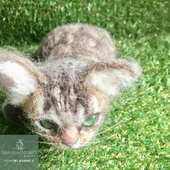 オーダーメイド☆羊毛フェルトのキジトラ子猫 香箱座り 6枚目の画像