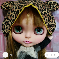 ブライスカスタムオーダーページ ブライスドール カスタムオーダーページ その他人形 Ao 通販