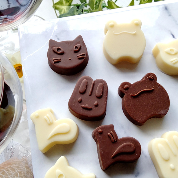 カエルのチョコレート型（２４）シリコンモールド　お菓子　手作り　プレゼント 1枚目の画像