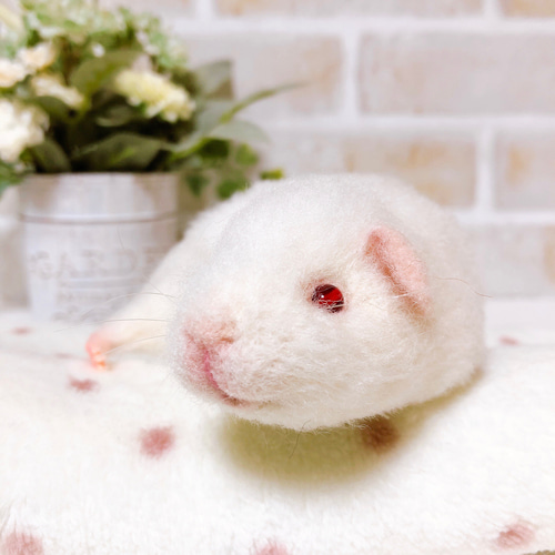 モルモット◇羊毛フェルト ふわふわモルちゃん☺️ ⁡ ⁡ #羊毛フェルトモルモット