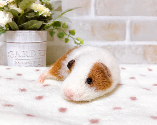 a2987ff10e1d780898cda7780dc906