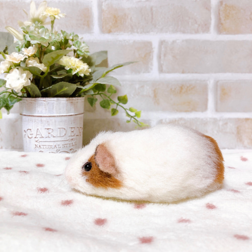 ミニサイズのモルモット* 茶×白 (羊毛フェルト) 羊毛フェルト