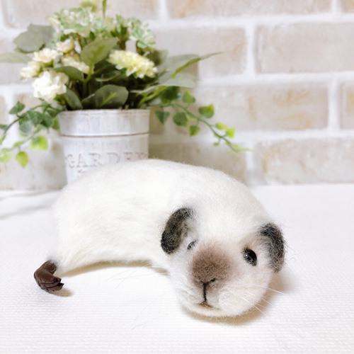 白・ロシアンスモーク *ミニサイズのモルモット* (羊毛フェルト) 羊毛