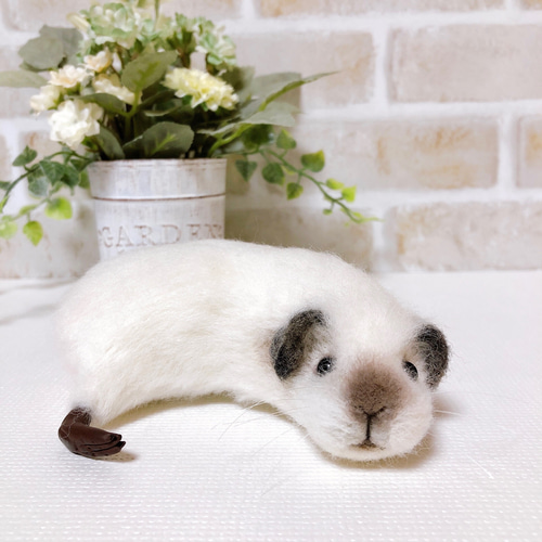白・ロシアンスモーク *ミニサイズのモルモット* (羊毛フェルト) 羊毛