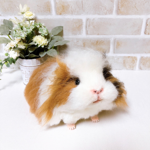 24cm 茶×白×黒 *長毛モルモットさん* リアルサイズ(羊毛フェルト) 羊毛