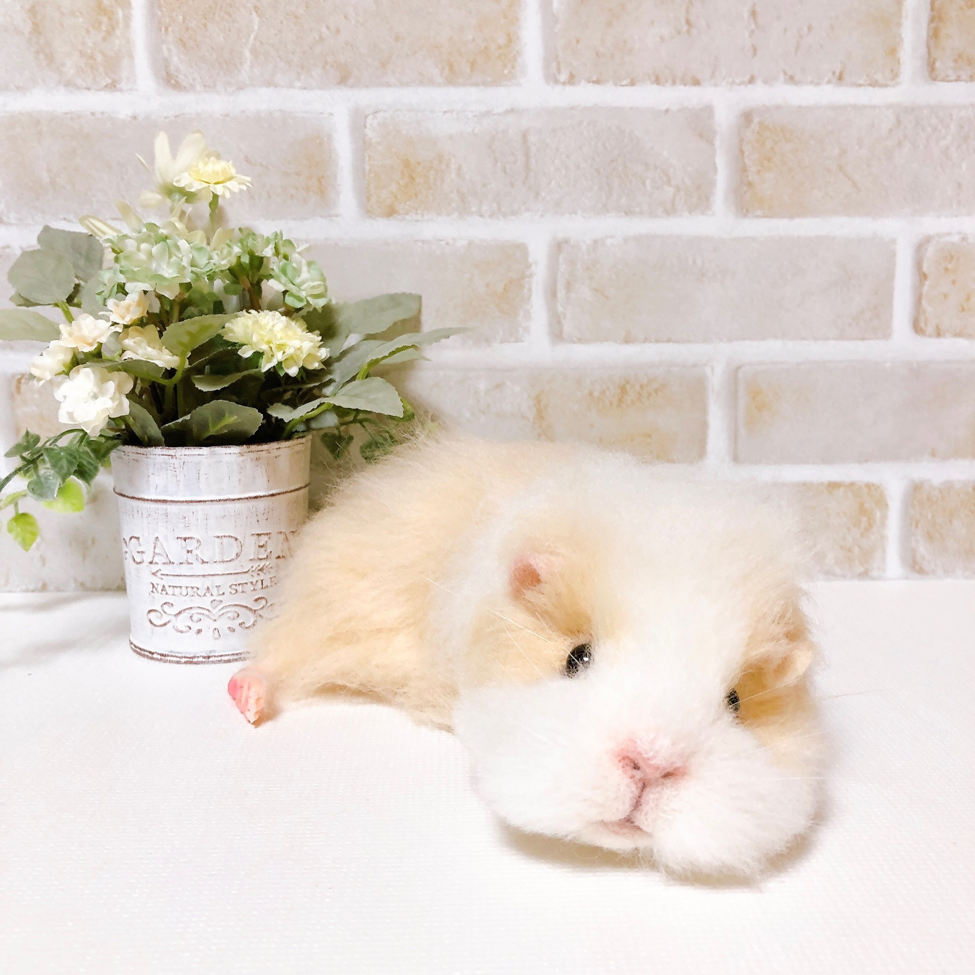 24cm 白×クリーム *モルモットさん* リアルサイズ(羊毛フェルト