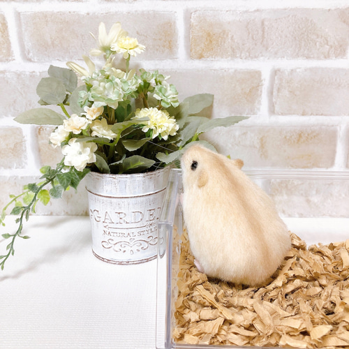 プディング *ジャンガリアンハムスター* (羊毛フェルト)伏せ