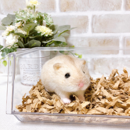 ♥️羊毛フェルト♥️ドームに入ったジャンガリアンのプディングちゃん