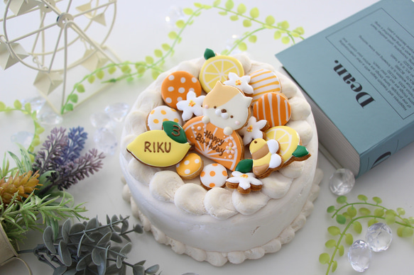 【アイシングクッキー】　ねこ　レモン　みかん　柑橘　猫　お誕生日　セット 1枚目の画像