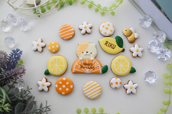 【アイシングクッキー】　ねこ　レモン　みかん　柑橘　猫　お誕生日　セット 2枚目の画像