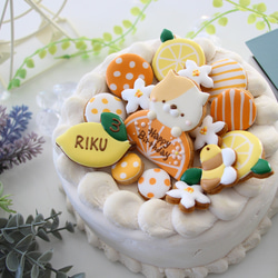 【アイシングクッキー】　ねこ　レモン　みかん　柑橘　猫　お誕生日　セット 7枚目の画像